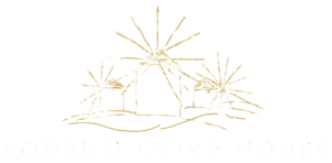 Bodrum Olive House logo